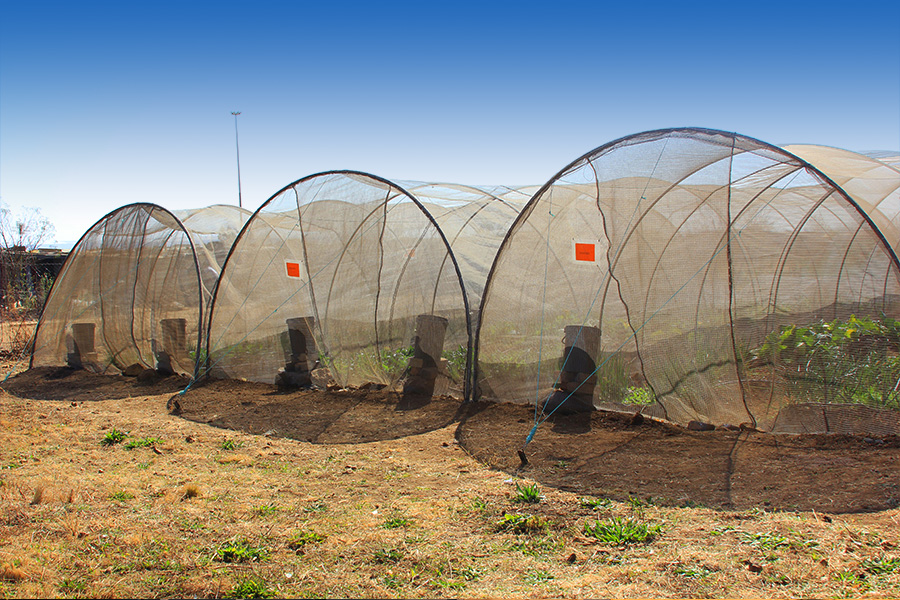 Sustainability [photo]