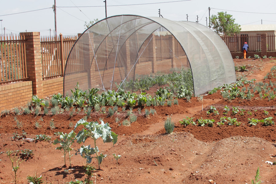 Empowering communities through the Broad-Based Livelihoods (BBL) Programme [photo]